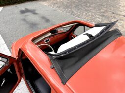 
										Fiat 500 FIAT 500 110F full									