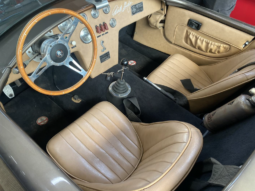 
										COBRA AC COBRA Ford 427 ci 7.7L full									