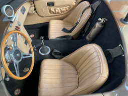 
										COBRA AC COBRA Ford 427 ci 7.7L full									