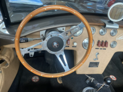 
										COBRA AC COBRA Ford 427 ci 7.7L full									