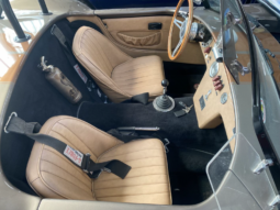 
										COBRA AC COBRA Ford 427 ci 7.7L full									