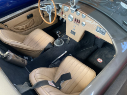 
										COBRA AC COBRA Ford 427 ci 7.7L full									