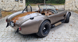 
										COBRA AC COBRA Ford 427 ci 7.7L full									