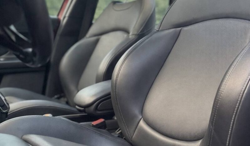 
								Mini Mini MINI COUNTRYMAN II (2) (F60) full									