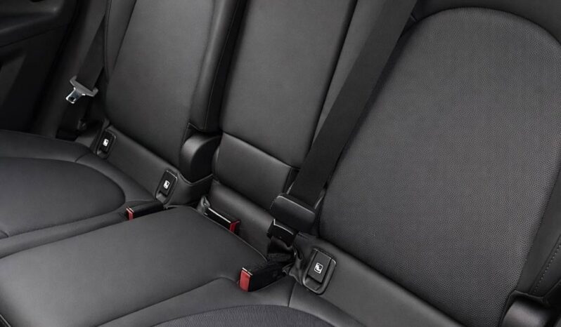 
								Mini Mini MINI COUNTRYMAN II (2) (F60) full									