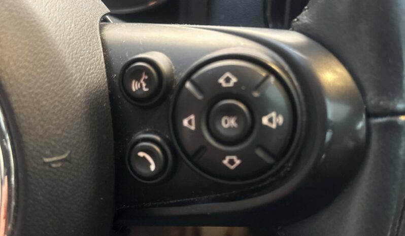 
								Mini Mini MINI COUNTRYMAN II (2) (F60) full									